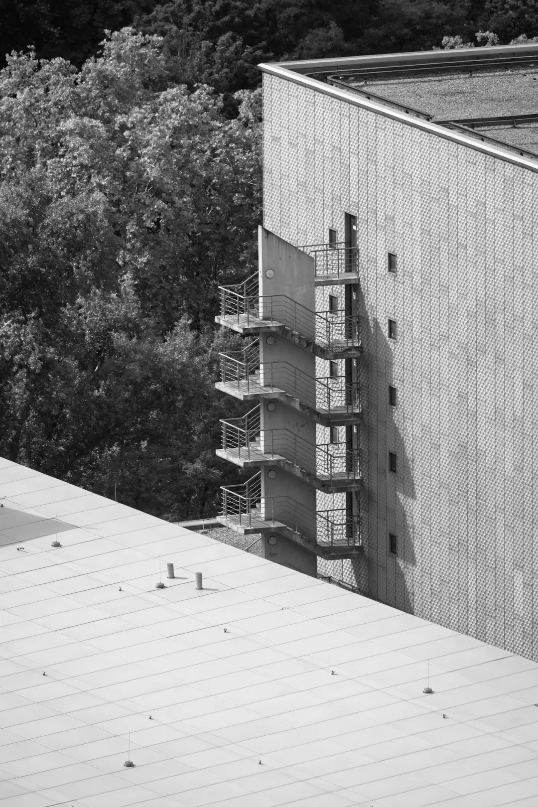 Professional Installation Techniques for Metal Roofing
